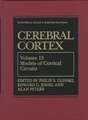 Cerebral Cortex: Models of Cortical Circuits