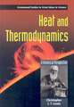 Heat and Thermodynamics: A Historical Perspective