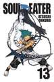 Soul Eater, Vol. 13