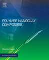 Polymer Nanoclay Composites