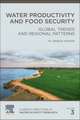 Water Productivity and Food Security: Global Trends and Regional Patterns