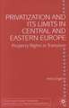 Privatisation and Its Limits in Central and Eastern Europe: Property Rights in Transition