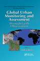 Global Urban Monitoring and Assessment through Earth Observa