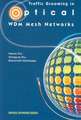 Traffic Grooming in Optical WDM Mesh Networks