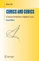 Conics and Cubics: A Concrete Introduction to Algebraic Curves