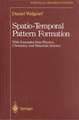 Spatio-Temporal Pattern Formation: With Examples from Physics, Chemistry, and Materials Science