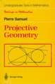 Projective Geometry