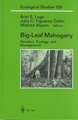 Big-Leaf Mahogany