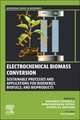 Electrochemical Biomass Conversion: Sustainable Processes and Applications for Bioenergy, Biofuels, and Bioproducts