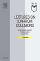 Lectures on Ion-Atom Collisions: From Nonrelativistic to Relativistic Velocities