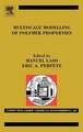 Multiscale Modelling of Polymer Properties