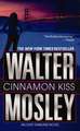 Cinnamon Kiss: A Novel