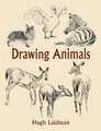 Drawing Animals