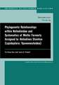 Phylogenic Relationships within Heliodinidae & Systematics of Moths Formerly Assigned to Heliodines Stainton (Lepidoptera: Yponomeutoidea)