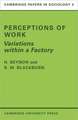 Perceptions of Work: Variations within a Factory