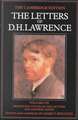 The Letters of D. H. Lawrence: Volume 8, Previously Unpublished Letters and General Index