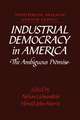 Industrial Democracy in America: The Ambiguous Promise