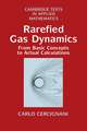 Rarefied Gas Dynamics: From Basic Concepts to Actual Calculations