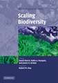 Scaling Biodiversity