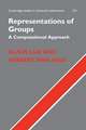 Representations of Groups: A Computational Approach