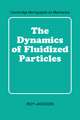 The Dynamics of Fluidized Particles