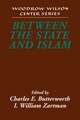 Between the State and Islam