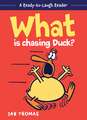 What Is Chasing Duck?