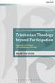 Trinitarian Theology beyond Participation: Augustine's De Trinitate and Contemporary Theology