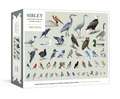 Sibley Backyard Birding Puzzle: 1000-Piece Jigsaw Puzzle with Portraits of Favorite North American Birds: Jigsaw Puzzles for Adults