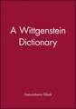 A Wittgenstein Dictionary