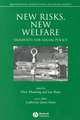 New Risks, New Welfare: Signposts for Social Policy