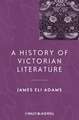 A History of Victorian Literature