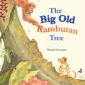Big Old Rambutan Tree