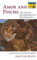 Amor and Psyche – The Psychic Development of the Feminine: A Commentary on the Tale by Apuleius. (Mythos Series)