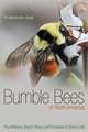 Bumble Bees of North America – An Identification Guide