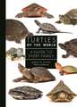 Turtles of the World – A Guide to Every Family