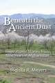 Beneath the Ancient Dust
