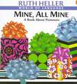 Mine, All Mine!: A Book about Pronouns