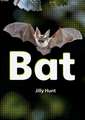 Set 02 - Bat