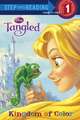 Tangled: Kingdom of Color