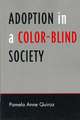 Adoption in a Color-Blind Society