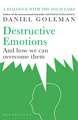 Destructive Emotions