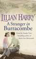 A Stranger In Burracombe