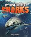 BEST BOOK OF SHARKS