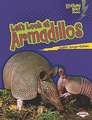 Let's Look at Armadillos