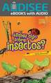 Sabes Algo Sobre Insectos = Do You Know about Insects?