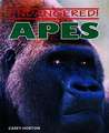 Apes