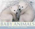 Baby Animals of the Frozen Tundra