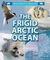 The Frigid Arctic Ocean