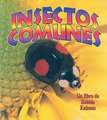 Insectos Comunes